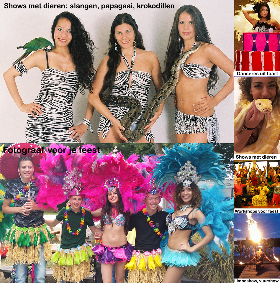 Braziliaanse Live Muziek